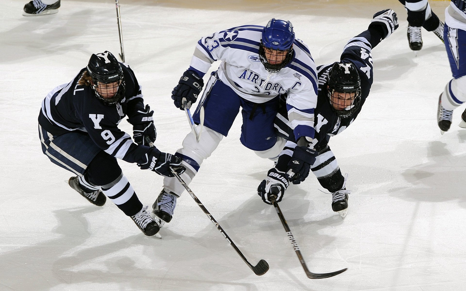 未来联盟：数字化、国际化、多元化同步推进，未来数字官网