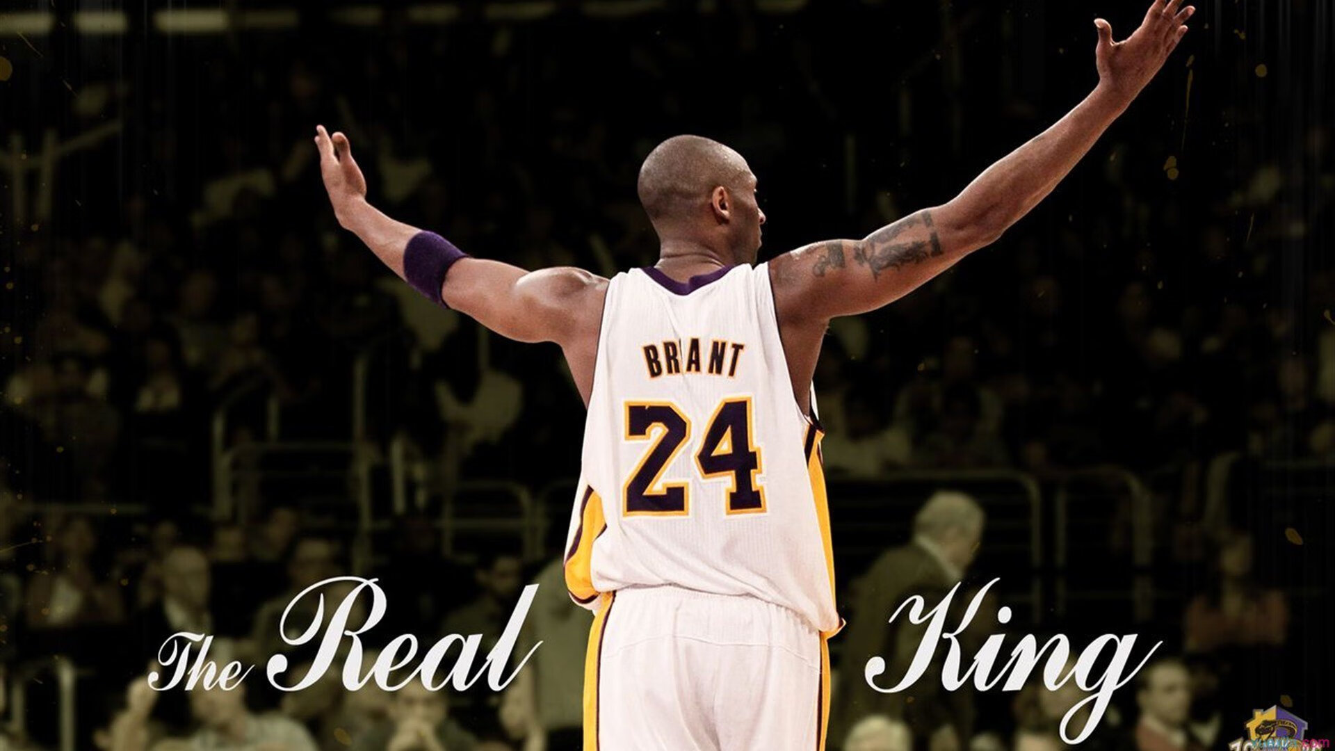 绿意盎然的城市跑：用双脚守护绿色家园